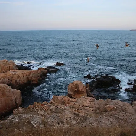 Family Bellehouse 3*